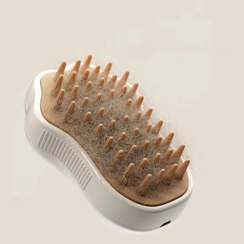 PAWCARE WORKS 3-in-1 Pet Steam Grooming Brush — Spa-Level Care for Your Furry Best Friend
